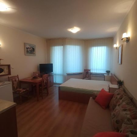 Pine Tree Studio B11 Bansko Zewnętrze zdjęcie
