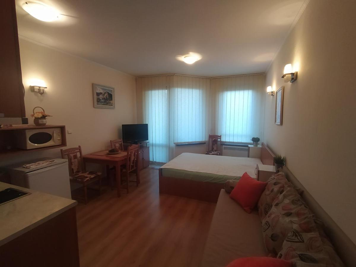 Pine Tree Studio B11 Bansko Zewnętrze zdjęcie