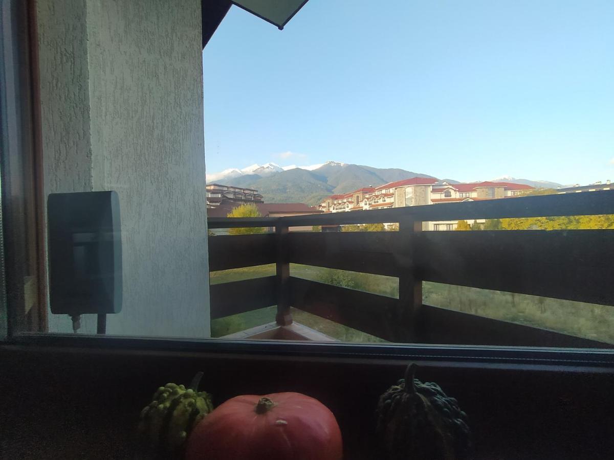 Pine Tree Studio B11 Bansko Zewnętrze zdjęcie