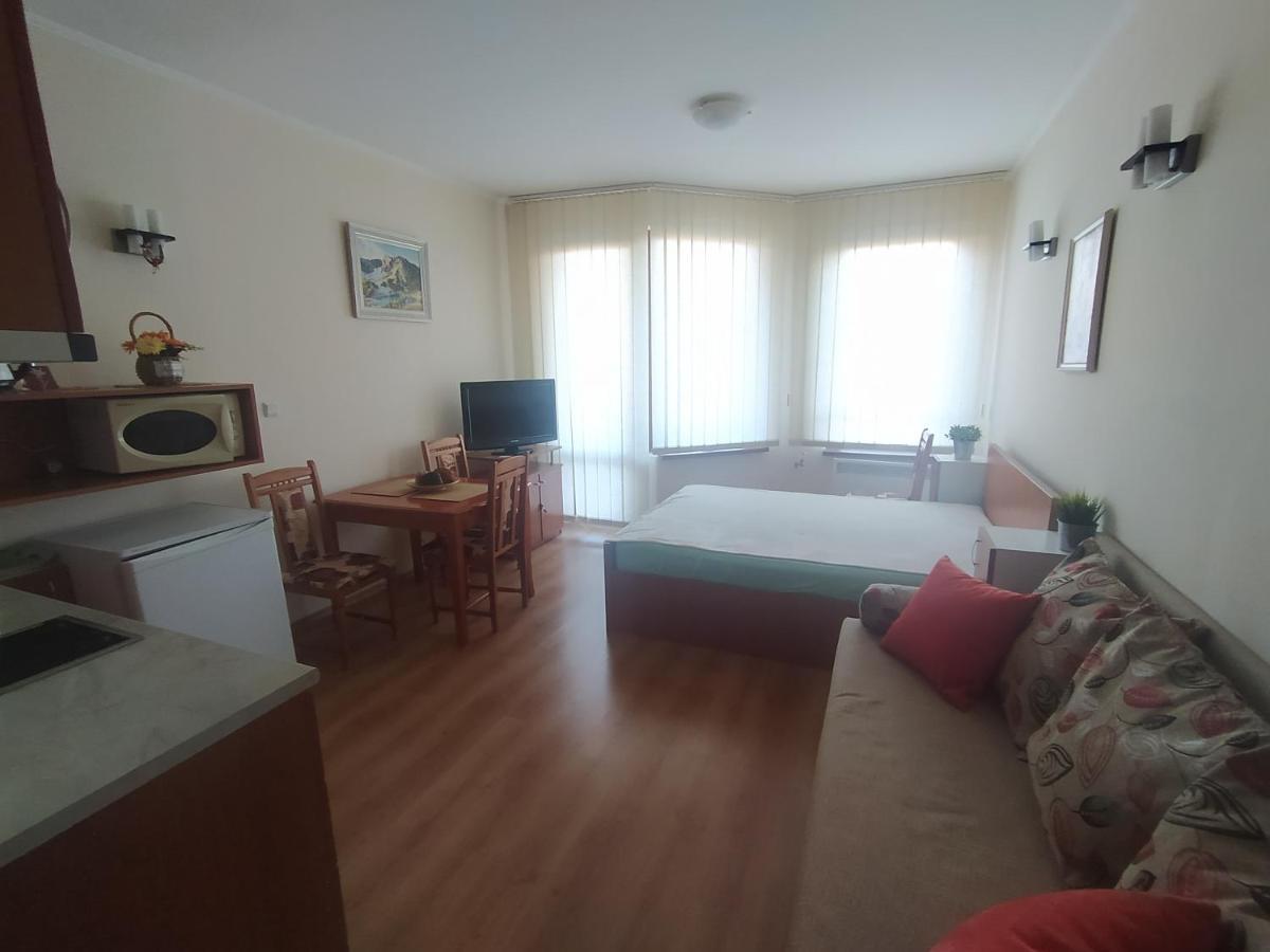 Pine Tree Studio B11 Bansko Zewnętrze zdjęcie