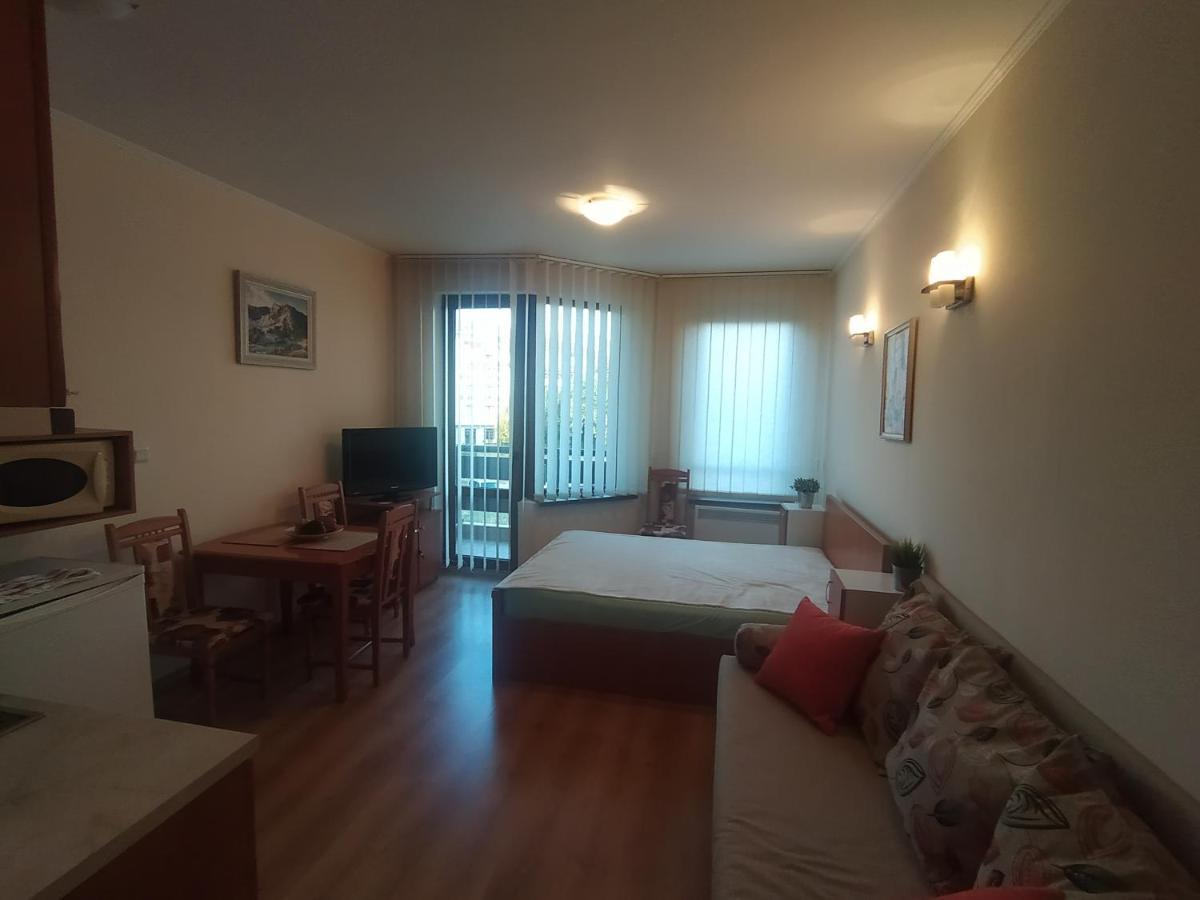 Pine Tree Studio B11 Bansko Zewnętrze zdjęcie