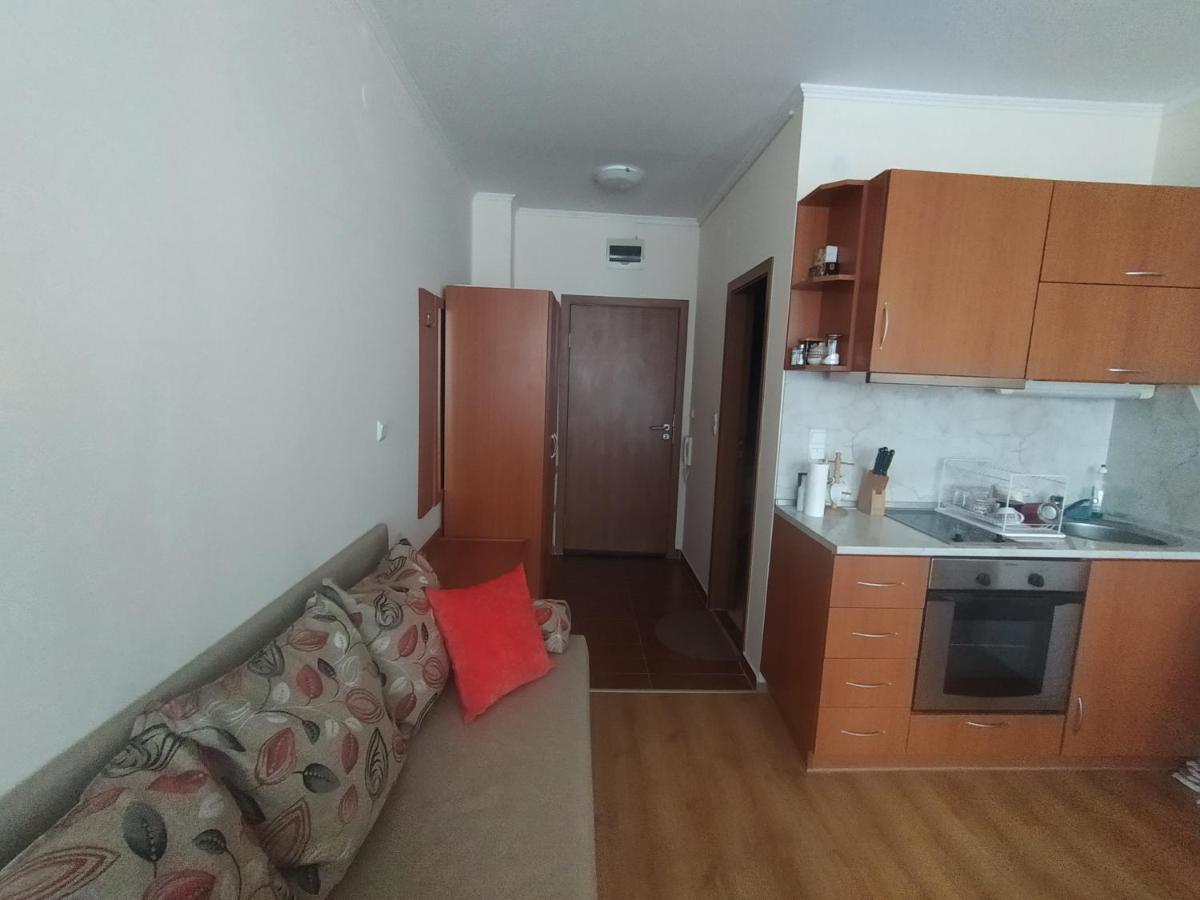 Pine Tree Studio B11 Bansko Zewnętrze zdjęcie