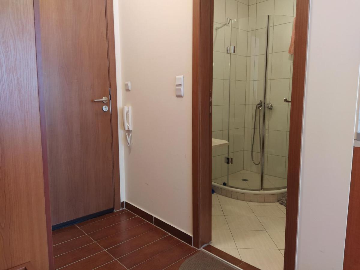 Pine Tree Studio B11 Bansko Zewnętrze zdjęcie