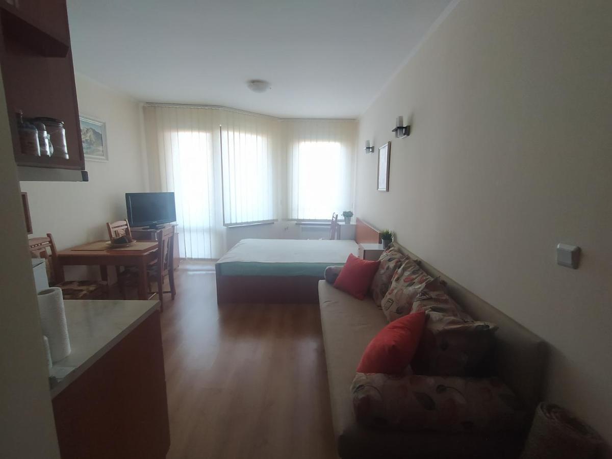Pine Tree Studio B11 Bansko Zewnętrze zdjęcie
