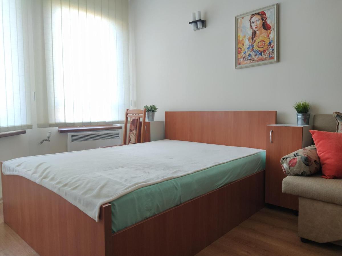 Pine Tree Studio B11 Bansko Zewnętrze zdjęcie